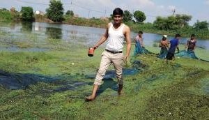 Noida based engineer quit his Job with an MNC, to revive ponds