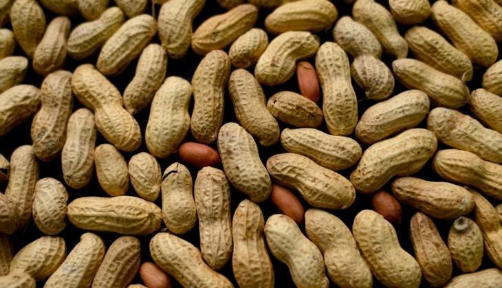 peanuts