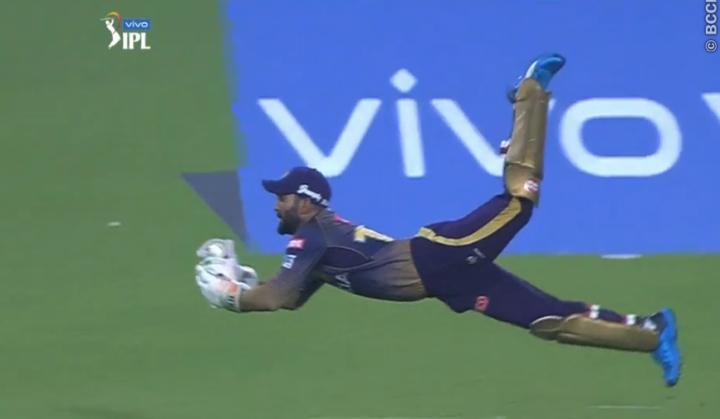 Watch: Dinesh Karthik glides like 'Falcon' to dismiss Prithvi Shaw in IPL