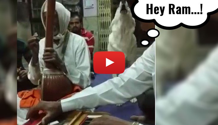 Wow! Here's how dog joins a keertan at a temple and singing along with singers; here’s the cutest viral video