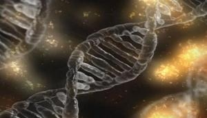 Genetic metabolic disorder linked with DNA mutation, claims study