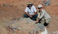 Shocking! Scientists unearth 220 million-year-old dinosaur fossils in Argentina