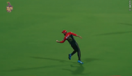 Watch: Virat Kohli takes revenge, pulls-off an amazing catch to dismiss Shubman Gill