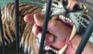 Scary! Man puts his hand inside a cage to pet the lioness; what she did with him will haunt you!