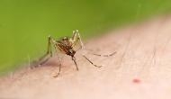 World Malaria Day 2019: Try these home remedies to keep vector-borne disease at bay