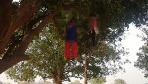 Uttar Pradesh: Shocking! Bodies of two girls found hanging from tree in Chitrakoot's Mau; probe underway