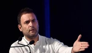 Watch: Rahul Gandhi helps pilot fixing helicopter during Himachal Pradesh poll campaign; video goes viral