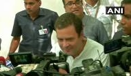 Rahul Gandhi's swipe at PM Modi after casting vote: 'love will win'