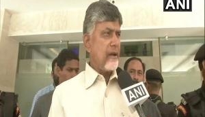 Chandrababu Naidu meets Sonia Gandhi, attempts to cobble front to keep BJP out of power