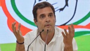 Congress leader writes letter in blood to urge Rahul Gandhi no to resign