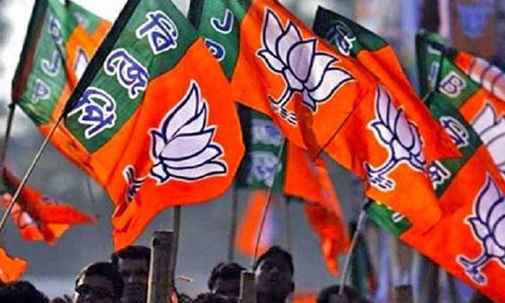 Bjp Crosses 300 Mark Congress Bags 52 Seats As Counting Nears End