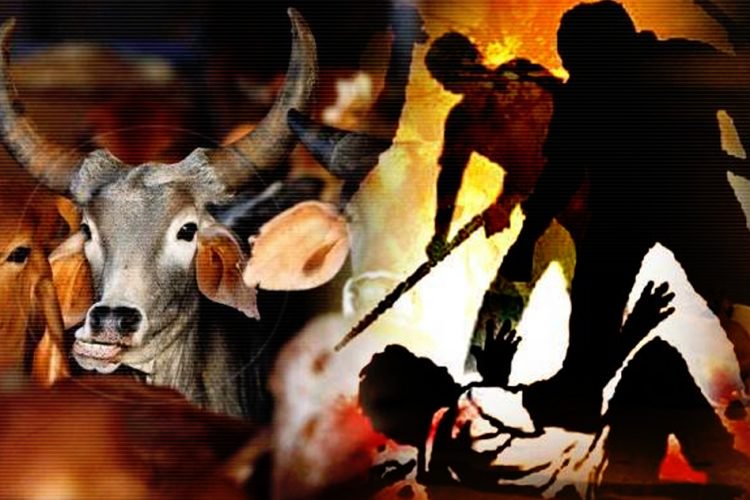 Madhya Pradesh: Cow vigilantes thrash 3 youths for possessing beef, 5 held