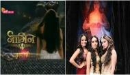 Naagin 4 Promo Out: Do you know who's the new 'naagin' in place of Surbhi Jyoti? Check out