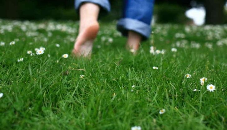 foot