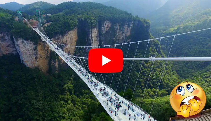 Thrilling! Watch how tourists walk on world’s longest glass-bottomed bridge; video will give you goosebumps!