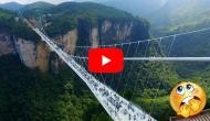 Thrilling! Watch how tourists walk on world’s longest glass-bottomed bridge; video will give you goosebumps!