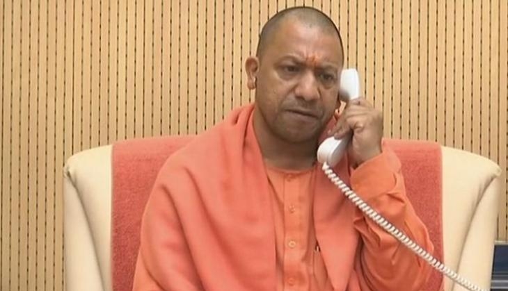 yogi