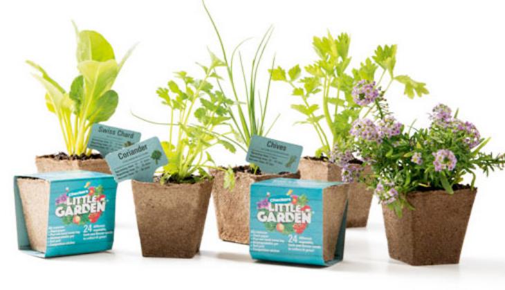 World Environment Day: Barista launches campaign to gift plant seeds to customers