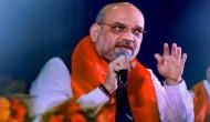 Amit Shah could stay as BJP president till December, hints BJP