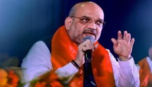 Amit Shah talks of 'Mission 75' at Jind rally, slams Congress for not revoking Article 370