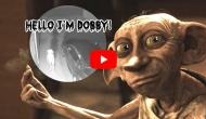 Watch Harry Potter’s Dobby spotted outside this house; see scary visual