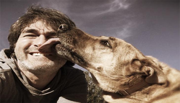 Dogs mirror owner's stress: Study