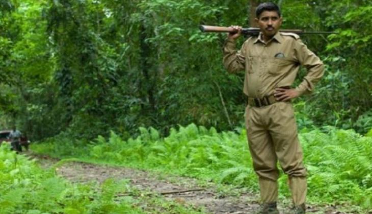 forest guard