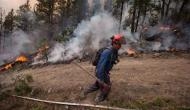 Uttar Pradesh: Underground fire in forest triggers panic among villagers