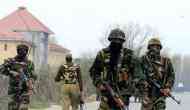 J-K: One 'hybrid terrorist' of LeT arrested in Kulgam