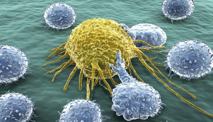 'Virtual biopsy' device can non-invasively detect skin tumours