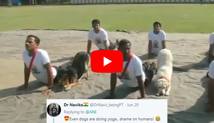 Watch how Army dogs performed Yoga with ITBP jawans; visuals will leave you stunned!