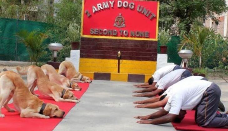 Yoga Day