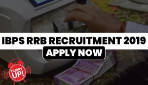 IBPS RRB Recruitment 2019: Hurry up! Over 8000 vacancies online application process to close on July 4; apply now