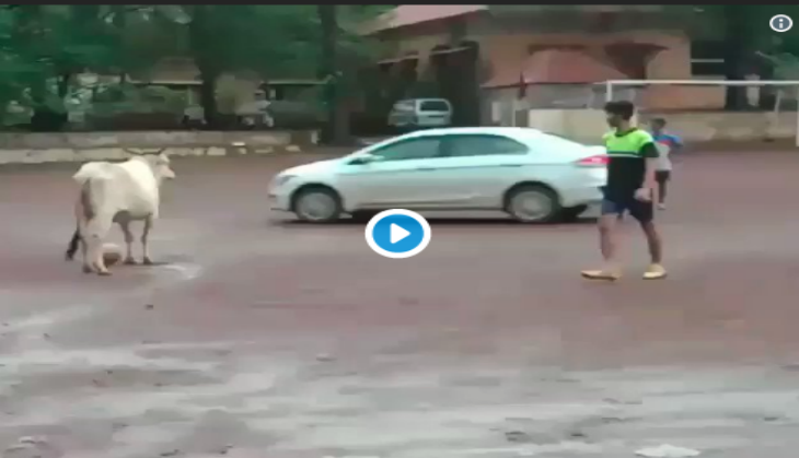 Viral