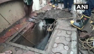 Mumbai: Buffalo falls in drain, rescued later