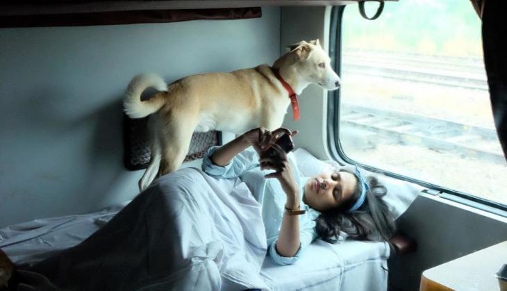 dog in train