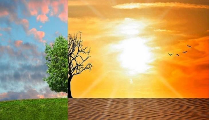 Climate change, deforestation pushing tropical species towards extinction