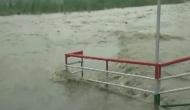 Uttrakhand: Ganga close to danger mark due to heavy downpour in Rishikesh