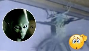 Horrifying! Man finds bizarre creature that looks like 'alien' on his room's ceiling