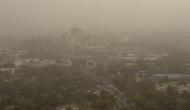 No relief for Delhi till next few days; more dust to prevail in city 