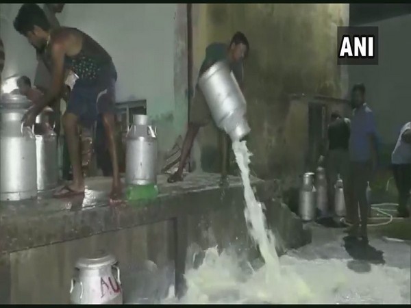 Odisha: Dairy farmers spill gallons of milk on road in protest against OMFED