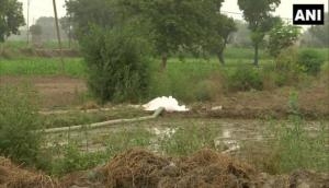 Delhi: Farmers using toxic drain water for growing vegetables in Mungeshpur