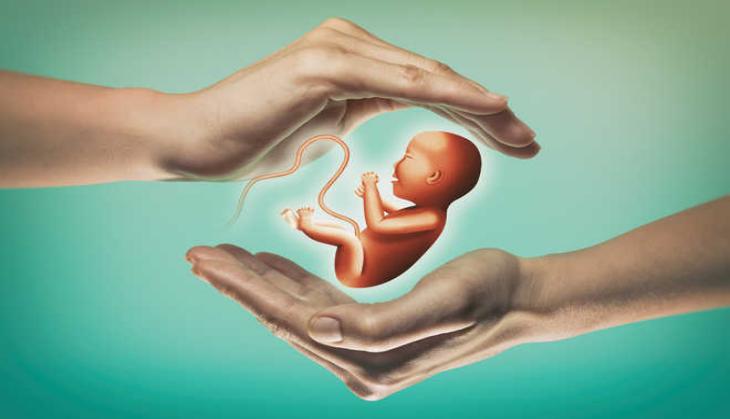 Government introduces bill to ban commercial surrogacy