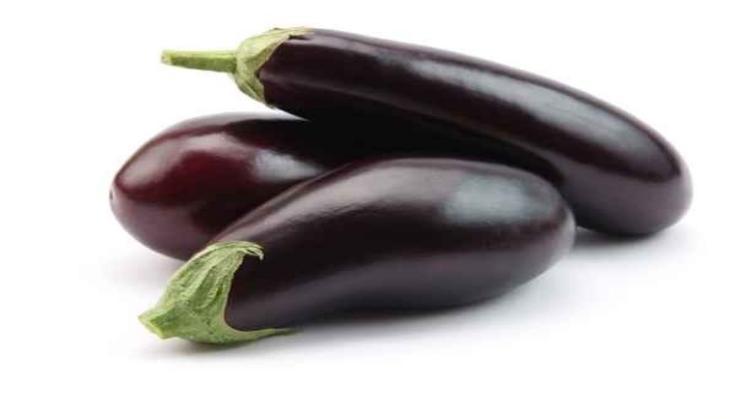 eggplant