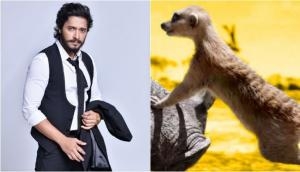 Shreyas Talpade on dubbing for The Lion King: I worked on my Mumbai slang for Timon