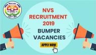 NVS Recruitment 2019: Job alert! 2370 vacancies for PGTs, TGTs and other posts released at navodaya.gov.in