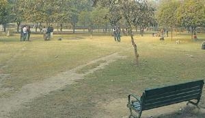 Noida: 13 contractors fined Rs 8.5 lakh for poor upkeep of parks