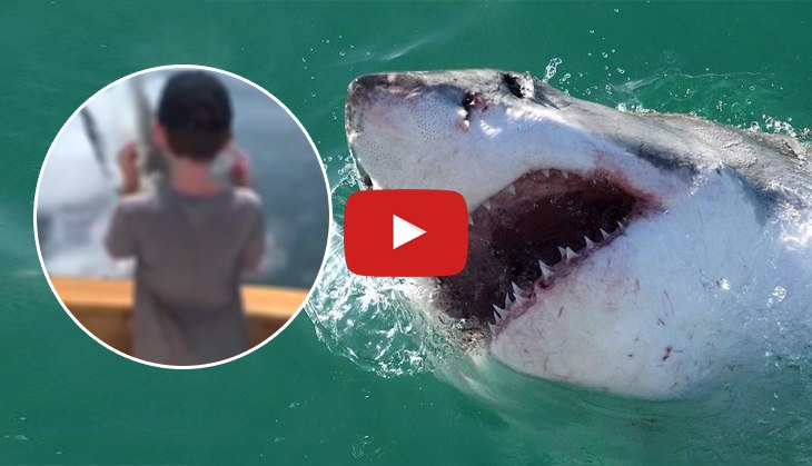 Oh no! Family just got saved after shark leaped out of water to their fishing boat; watch spine chilling video