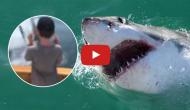 Oh no! Family just got saved after shark leaped out of water to their fishing boat; watch spine chilling video