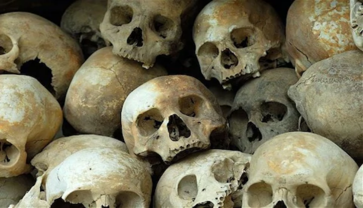 skulls